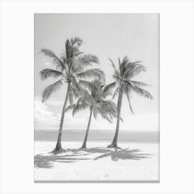 Three Palm Trees On The Beach 6 Canvas Print