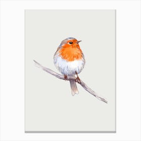 Robin Canvas Print