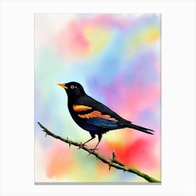 Blackbird Watercolour Bird Canvas Print