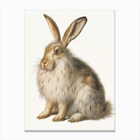 English Angora Blockprint Rabbit Illustration 6 Canvas Print