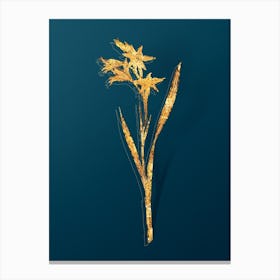 Vintage Gladiolus Cuspidatus Botanical in Gold on Teal Blue n.0224 Canvas Print