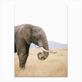 Kenya Elephant Canvas Print