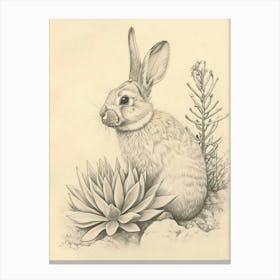 Satin Rabbit Drawing 3 Canvas Print