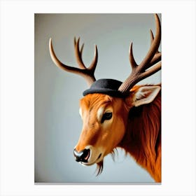 Deer Head With Hat Canvas Print
