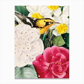 Bird among flowers Canvas Print