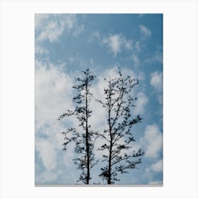 The Silhouette Of Two Trees In Nature Canvas Print