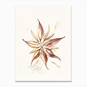 Star Anise Leaf Minimalist Watercolour 1 Canvas Print