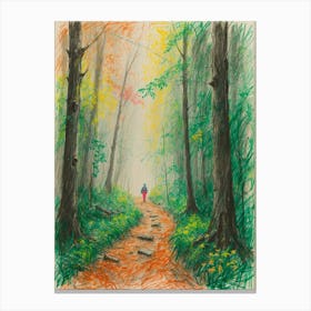 Walk In The Woods 1 Canvas Print