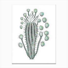 Rhipsalis Cactus William Morris Inspired 2 Canvas Print