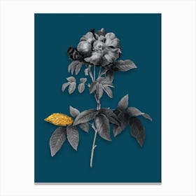 Vintage Provins Rose Black and White Gold Leaf Floral Art on Teal Blue n.1126 Canvas Print