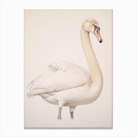 Vintage Bird Drawing Swan 1 Canvas Print