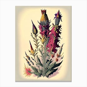 Blazing Star Wildflower Vintage Botanical 2 Canvas Print