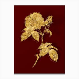 Vintage Apothecary Rose Botanical in Gold on Red n.0462 Canvas Print