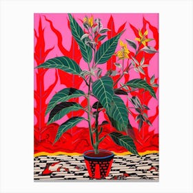 Pink And Red Plant Illustration Croton Norma 1 Canvas Print
