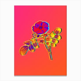 Neon Japanese Rose Botanical in Hot Pink and Electric Blue n.0169 Canvas Print
