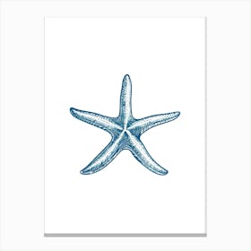 Starfish 27 Canvas Print