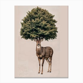 Deer With Tree On Head Canvas Print