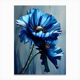 Blue Poppy 2 Canvas Print