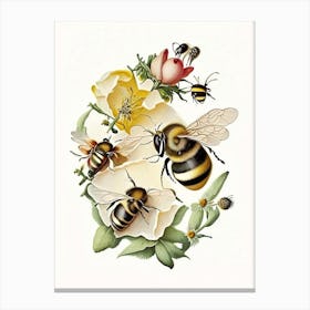 Bees 4 Vintage Canvas Print
