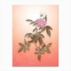 Pink Boursault Rose Vintage Botanical in Peach Fuzz Seigaiha Wave Pattern n.0249 Canvas Print