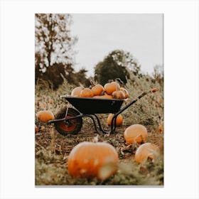 Pumpkins In Wheelbarrel Canvas Print