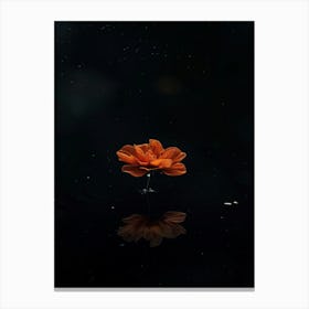 Flower In Water 7 Canvas Print