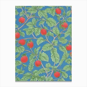 Watermelon Vintage Botanical Fruit Canvas Print