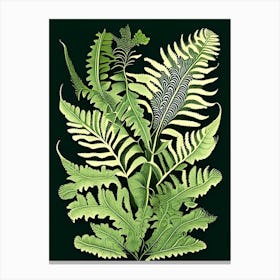 Polypodium Fern 1 Vintage Botanical Poster Canvas Print