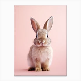 Cute Rabbit On Pink Background 2 Canvas Print