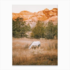 White Horse Grazing Canvas Print