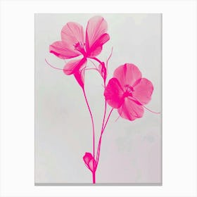 Hot Pink Veronica Flower 2 Canvas Print