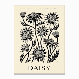 Rustic April Birth Flower Daisy Black Cream Canvas Print