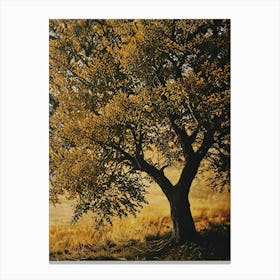 Lone Tree 11 Canvas Print