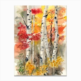 Birch Trees Canvas Print