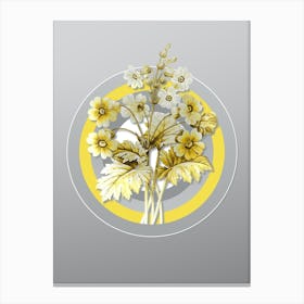 Botanical The Chinese Primrose in Yellow and Gray Gradient n.306 Canvas Print