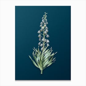 Vintage Persian Lily Botanical Art on Teal Blue n.0291 Canvas Print