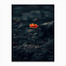 Single Flower 13 Canvas Print