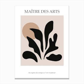 Matisse inspired art Canvas Print