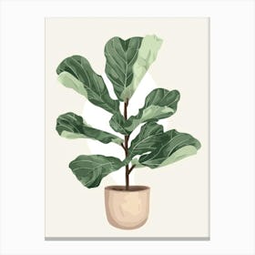 Fig Tree 6 Canvas Print