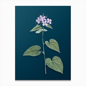 Vintage Morning Glory Flower Botanical Art on Teal Blue n.0646 Canvas Print