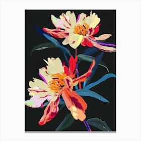 Neon Flowers On Black Peony 2 Canvas Print