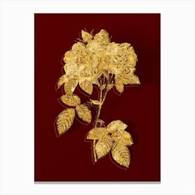 Vintage Italian Damask Rose Botanical in Gold on Red n.0107 Canvas Print