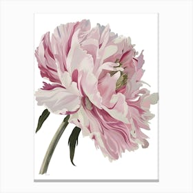 Pink Peony Canvas Print