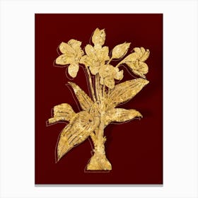 Vintage Crinum Giganteum Botanical in Gold on Red n.0492 Canvas Print