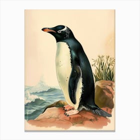 Adlie Penguin Sea Lion Island Vintage Botanical Painting 3 Canvas Print