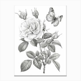 Rose With Butterfly Line Drawing 4 Canvas Print