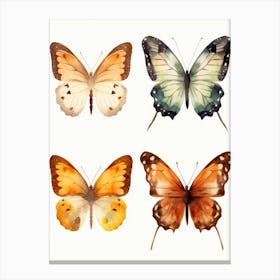 Watercolor Butterflies Isolated On White Background Canvas Print