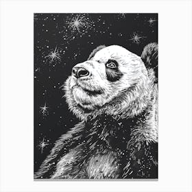 Giant Panda Looking At A Starry Sky Ink Illustration 3 Canvas Print