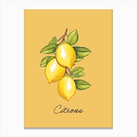 Citrons, Lemons Kitchen Art Print Canvas Print