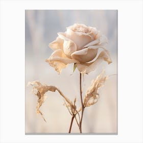 Boho Dried Flowers Rose 6 Canvas Print